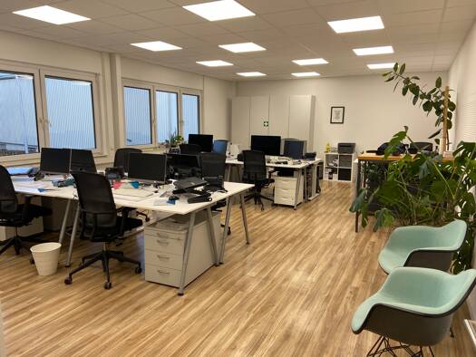 Büro zur Miete provisionsfrei 3.950 € 12 Zimmer 600 m² Bürofläche Liebigstraße 12 Brühl Freiburg im Breisgau 79108