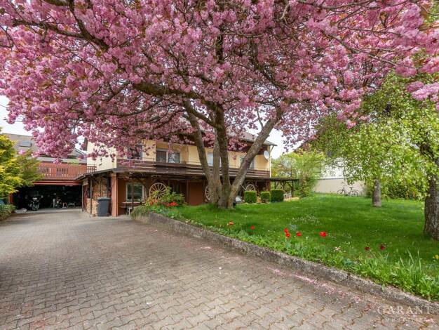 Einfamilienhaus zum Kauf 495.000 € 6,5 Zimmer 201 m² 786 m² Grundstück Machtolsheim Laichingen 89150