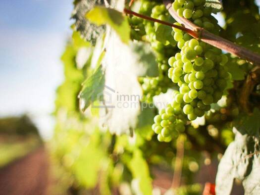 Land-/Forstwirtschaft zum Kauf 76.000 € 1.900 m² Grundstück Wien,Favoriten 1100