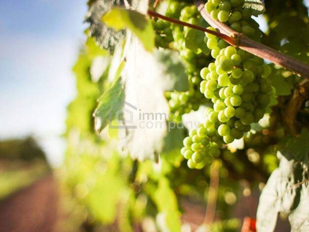 Land-/Forstwirtschaft zum Kauf 76.000 € 1.900 m² Grundstück Wien,Favoriten 1100