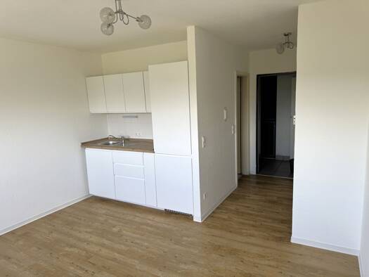 Wohnung zum Kauf 182.000 € 1 Zimmer 21,7 m² Geschoss 3/5 frei ab sofort Neckarau Mannheim 68199