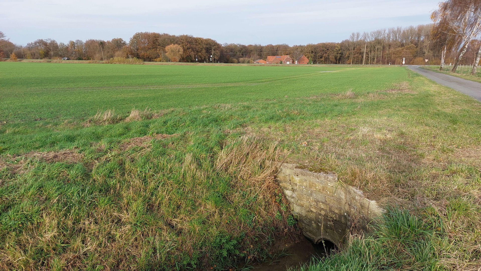 Land-/Forstwirtschaft zum Kauf provisionsfrei 969.000 € Albersloh Sendenhorst 48324