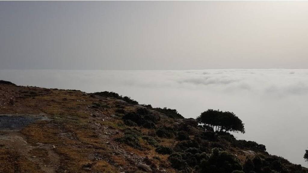 Land-/Forstwirtschaft zum Kauf 250.000 € 50.000 m² Grundstück Kreta