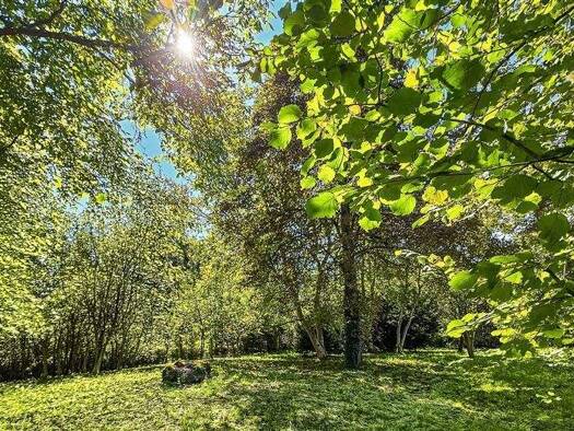 Grundstück zum Kauf 2.880.000 € 3.100 m² Grundstück Lohhof Unterschleißheim 85716