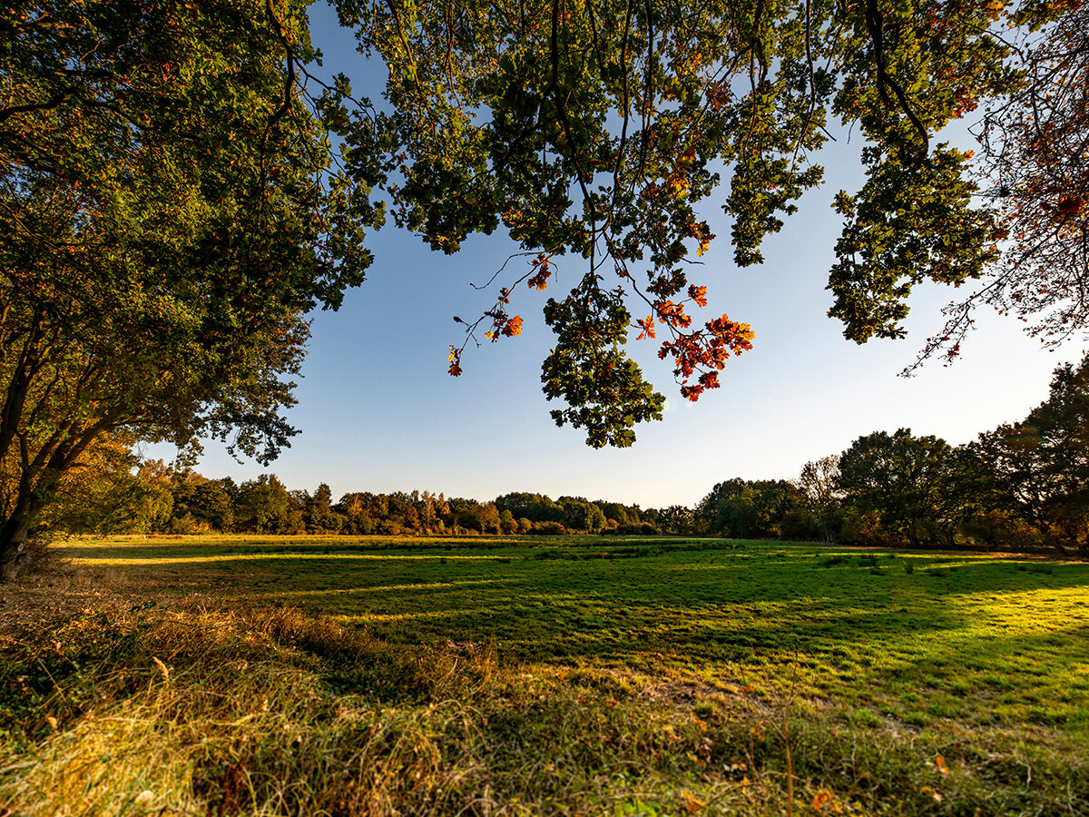 Grundstück zum Kauf 900.000 € 812 m²<br/>Grundstück Hummelsbüttel Hamburg 22339