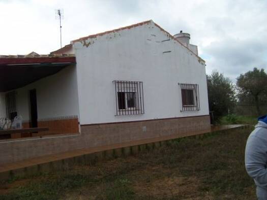 Bauernhaus zum Kauf 57.000 € 3 Zimmer 90 m² 5.000 m² Grundstück Rociana del Condado 21720