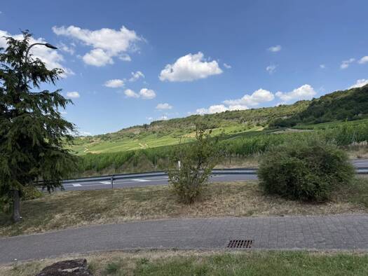 Grundstück zum Kauf 190.000 € 494 m² Grundstück Köllig Nittel 54453