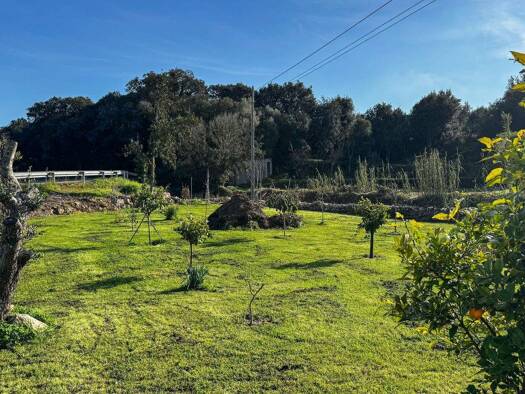 Freizeitgrundstück zum Kauf provisionsfrei 112.000 € 688 m² Grundstück Artà 07570