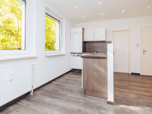 Wohnung zur Miete 550 € 2,5 Zimmer 69,4 m² 2. Geschoss Wiener Straße 60a Lend Graz 8020
