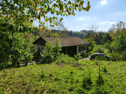 Einfamilienhaus zum Kauf provisionsfrei 129.000 € 4 Zimmer 100 m² 7.000 m² Grundstück frei ab 03.04.2027 Kämmerlein Wilhelmsthal 96352