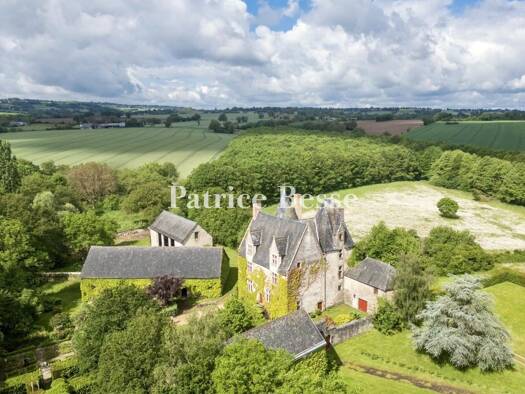 Herrenhaus zum Kauf 980.000 € 12 Zimmer 460 m² 124.919 m² Grundstück Sillé-le-Guillaume 72140