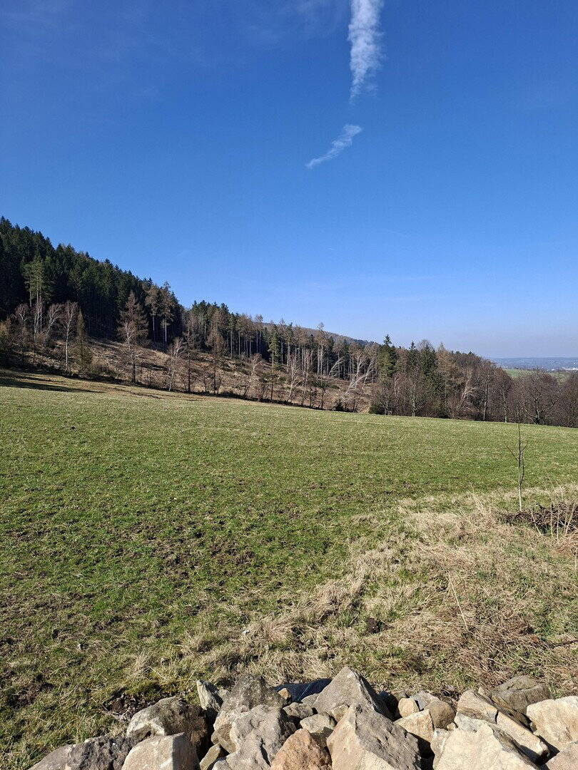 Einfamilienhaus zum Kauf - Ansicht 2