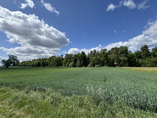Landwirtschaftliche Fläche zum Kauf 15.000 € 2.299 m² 2.299 m² Grundstück Kleinostheim 63801