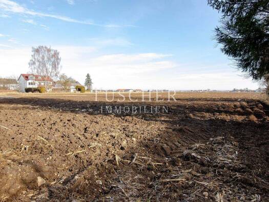 Land-/Forstwirtschaft zum Kauf 310.000 € 5.068 m² Grundstück Anzing 85646