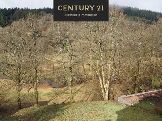 Grundstück zum Kauf 49.000 € 504 m² Grundstück frei ab sofort Finkenbach Oberzent-Finkenbach 64760