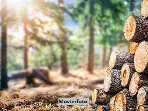 Land-/Forstwirtschaft zum Kauf 10.000 € 5.882 m² Grundstück Geisenhöhn Schleusingen 98553