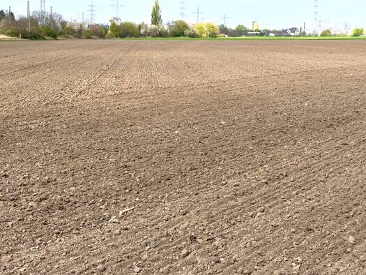 Land-/Forstwirtschaft zum Kauf 6.161 m² Grundstück Fischenich Hürth / Kalscheuren 50354