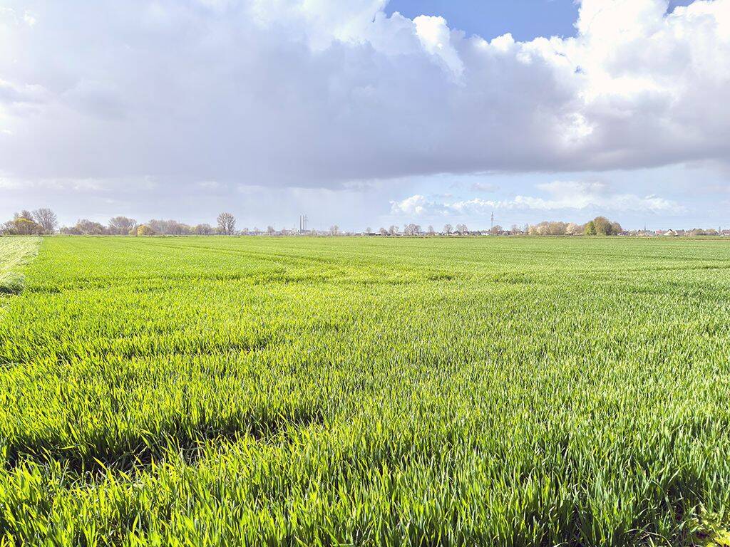 Land-/Forstwirtschaft zum Kauf - Ansicht 2