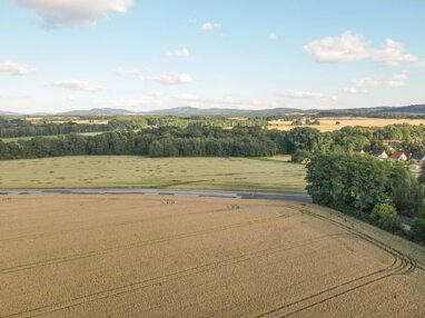 Grundstück zum Kauf 249.000 € 18.160 m² Grundstück frei ab sofort Rothnaußlitz Rothnaußlitz (Demnitz-Thumnitz) 01877