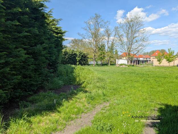 Freizeitgrundstück zur Miete 250 € 1.170,6 m² Grundstück frei ab sofort Glück-Auf-Straße (Bitterfeld) 1 Bitterfeld Bitterfeld-Wolfen 06749
