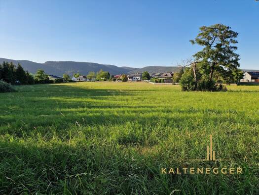 Grundstück zum Kauf 277.000 € 3.260 m² Grundstück Weikersdorf am Steinfelde 2722