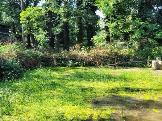 Freizeitgrundstück zum Kauf 29.500 € 3.550 m² Grundstück Oelsnitz 08606