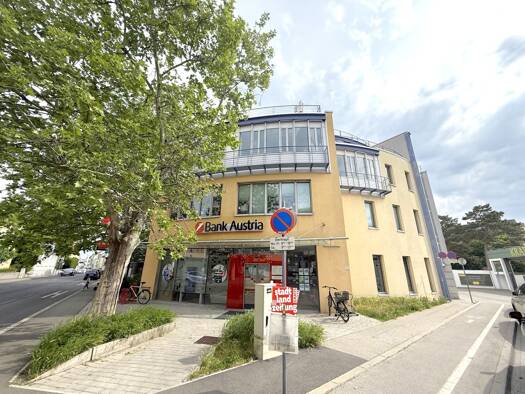 Bürofläche zur Miete 801,6 m² Bürofläche teilbar ab 400 m² Enzersdorferstraße 4 Mödling 2340