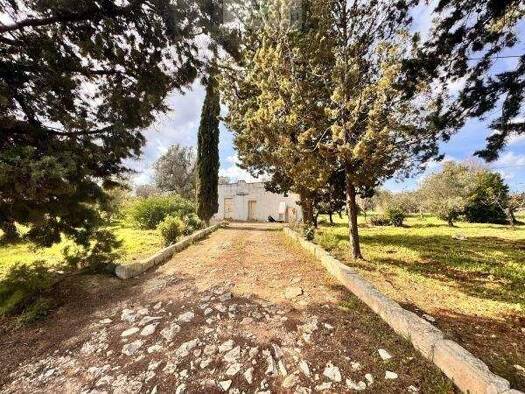 Haus zum Kauf 75.000 € 51 m² 4.300 m² Grundstück Carovigno 72012