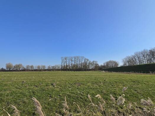 Landwirtschaftliche Fläche zum Kauf 1.150.000 € 328.000 m² Grundstück Wewelsfleth 25599