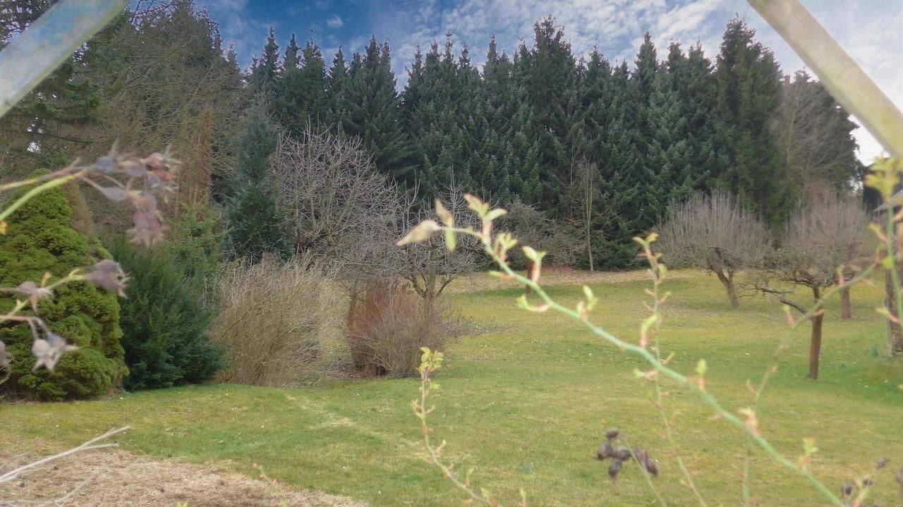 Immobilie in Waldenburg - Fachwerkhaus + großes Grundstück - Bild 4