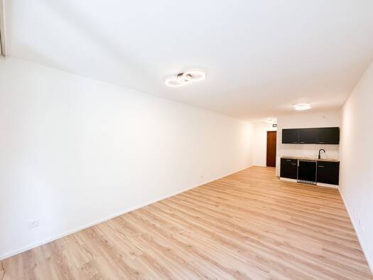Wohnung zum Kauf 199.900 € 1 Zimmer 30,5 m² EG Aigen I Salzburg 5020