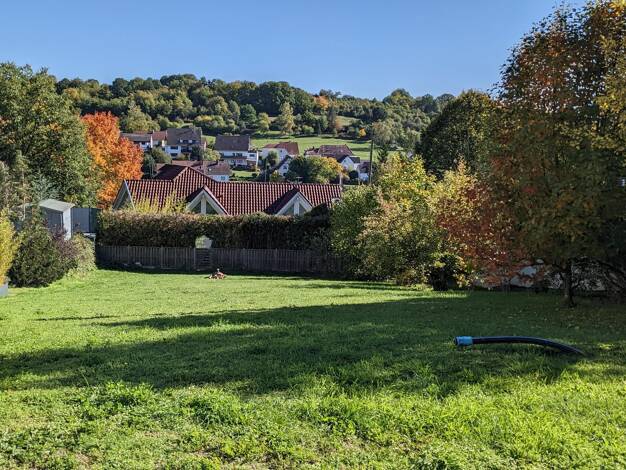 Grundstück zum Kauf 85.000 € 670 m² Grundstück Hirschhorn 67732