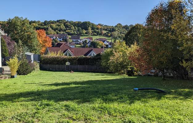 Grundstück zum Kauf 85.000 € 670 m² Grundstück Hirschhorn 67732