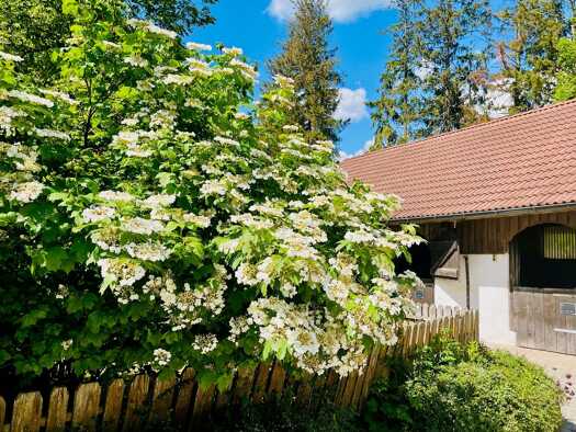 Reiterhof zum Kauf 200.000 m² Stockach Stockach 78333