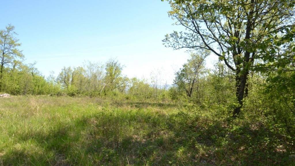 Land-/Forstwirtschaft zum Kauf 55.000 € Liznjan