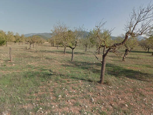 Grundstück zum Kauf 1.200.000 € 59.300 m² Grundstück Marratxi 07141