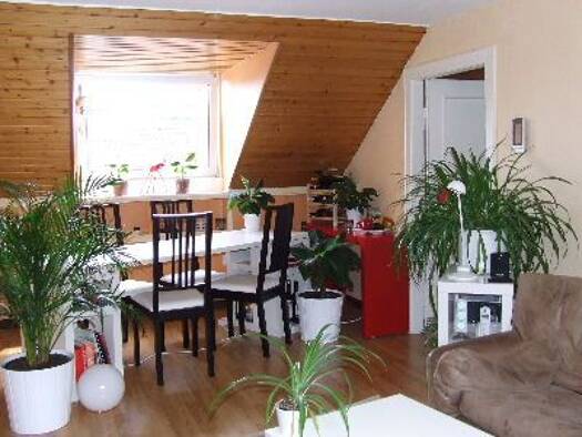 Wohnung zur Miete 420 € 2 Zimmer 55 m² 4. Geschoss frei ab sofort Süd Kassel 34121
