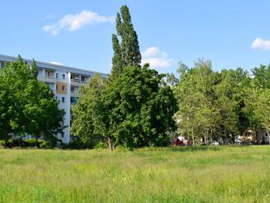 Wohnung zur Miete 355 € 3 Zimmer 57 m² 4. Geschoss frei ab 01.09.2025 Kauperstraße 4 Cottbus 03044