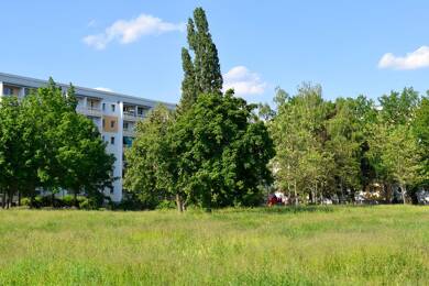Wohnung zur Miete 355 € 3 Zimmer 57 m² 4. Geschoss frei ab 01.09.2025 Kauperstraße 4 Cottbus 03044