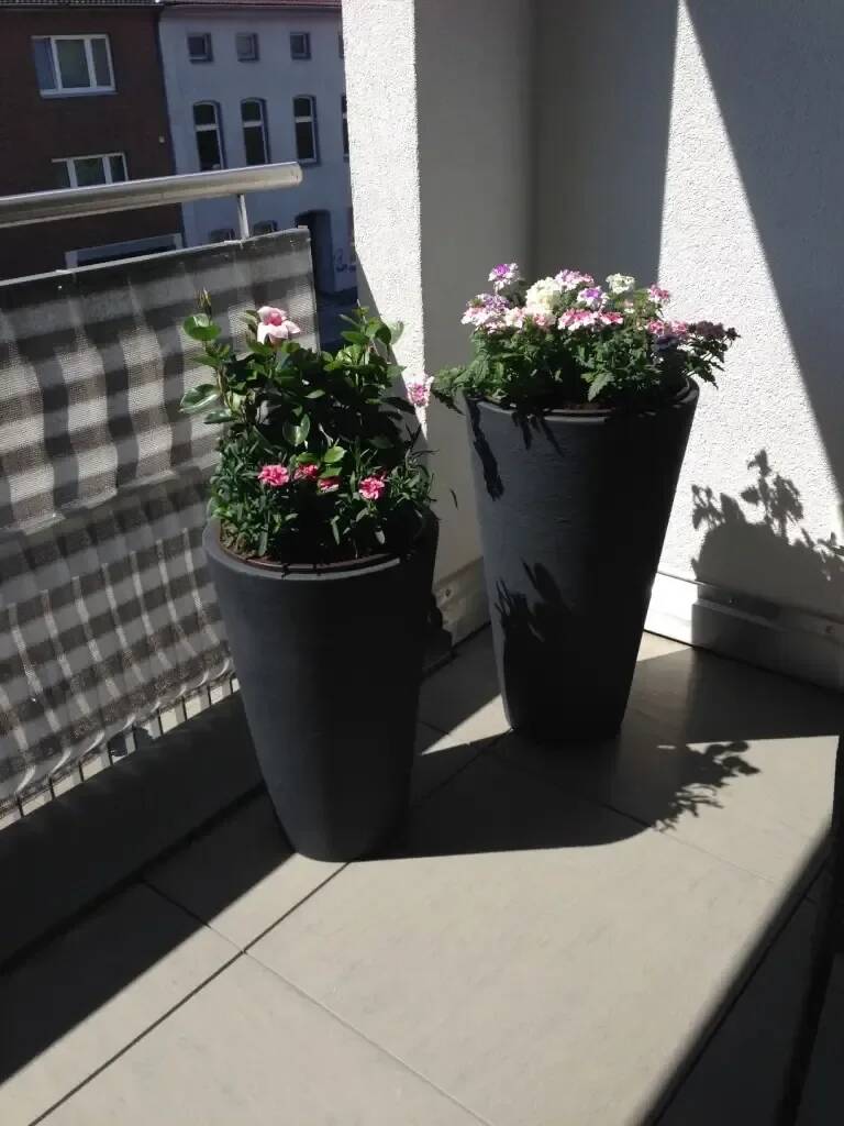 Property thumbnail 31