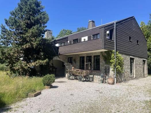 Villa zum Kauf 1.190.000 € 21 Zimmer 426 m² 53.408 m² Grundstück Bingen am Rhein 55411