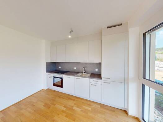 Wohnung zum Kauf - Erstbezug provisionsfrei 211.000 € 1 Zimmer 50,5 m² Bad Waltersdorf 8271