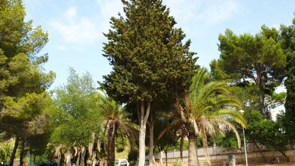 Grundstück zum Kauf 425.000 € 1.420 m² Grundstück Alcúdia 07400