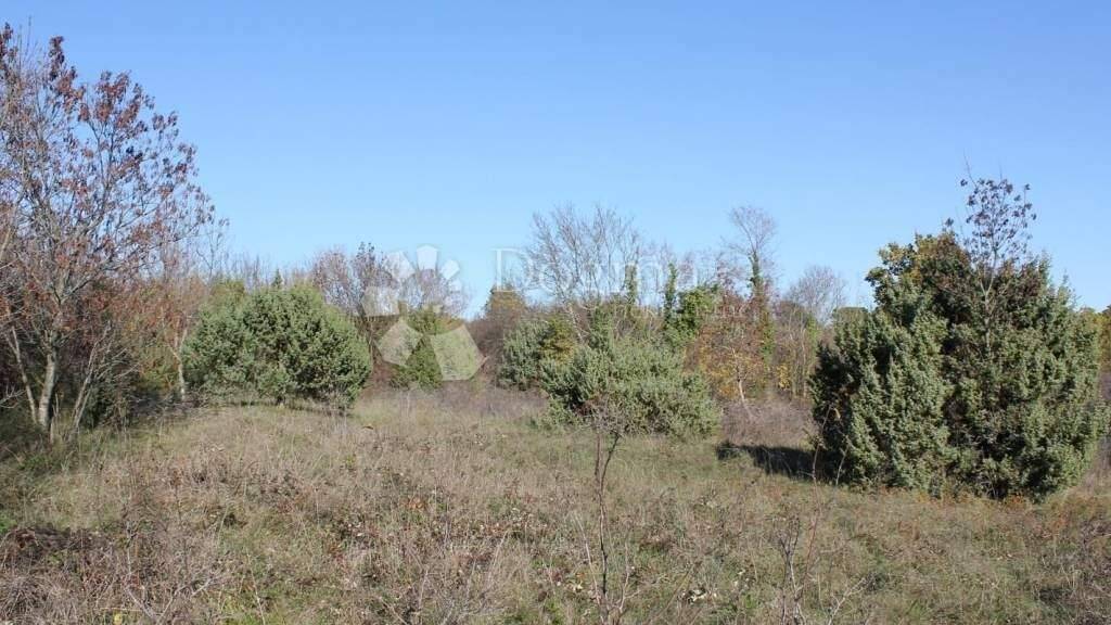 Land-/Forstwirtschaft zum Kauf 104.000 € Filipana, Divsici, Orbanici