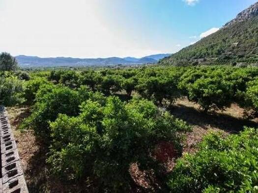 Acker-/Waldstück zum Kauf 120.000 € Sagra Sagra 03795