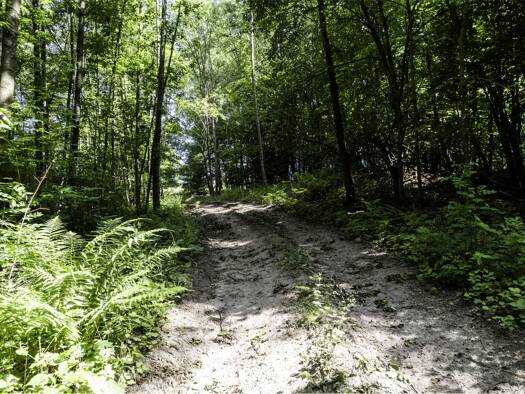 Grundstück zum Kauf 95.000 € 55.700 m² Grundstück Granica Insko 73-140