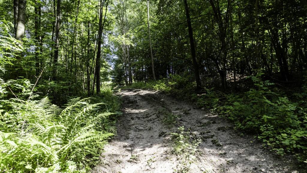 Grundstück zum Kauf 95.000 € 55.700 m² Grundstück Granica Insko 73-140