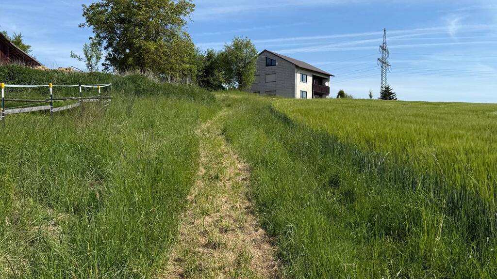 Reiterhof zum Kauf 920.000 € 171 m² 33.000 m² Grundstück Vilsbiburg 84137