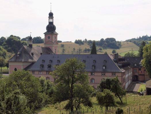 Haus zum Kauf provisionsfrei 4.400 m² 35.769 m² Grundstück Karmelitenstrasse Springiersbach Bengel 54538
