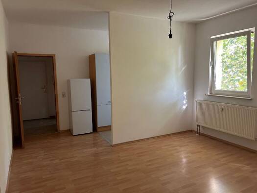 Wohnung zur Miete 400 € 1 Zimmer 30 m² Geschoss 2/3 frei ab sofort Adolfstraße 4 Giebichenstein Halle (Saale) 06114